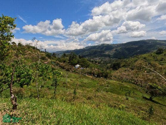 Finca en venta 2.4 hectáreas.La Suiza de Turrialba, La Suiza, Turrialba, Cartago, Costa Rica 30502