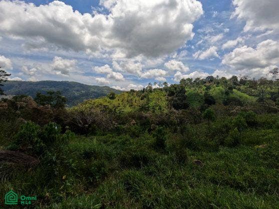 Finca en venta 2.4 hectáreas.La Suiza de Turrialba, La Suiza, Turrialba, Cartago, Costa Rica 30502