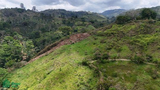 Finca en venta 2.4 hectáreas.La Suiza de Turrialba, La Suiza, Turrialba, Cartago, Costa Rica 30502