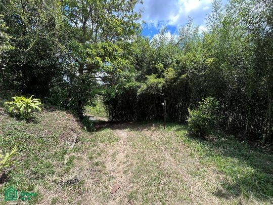 Finca en venta 2.4 hectáreas.La Suiza de Turrialba, La Suiza, Turrialba, Cartago, Costa Rica 30502