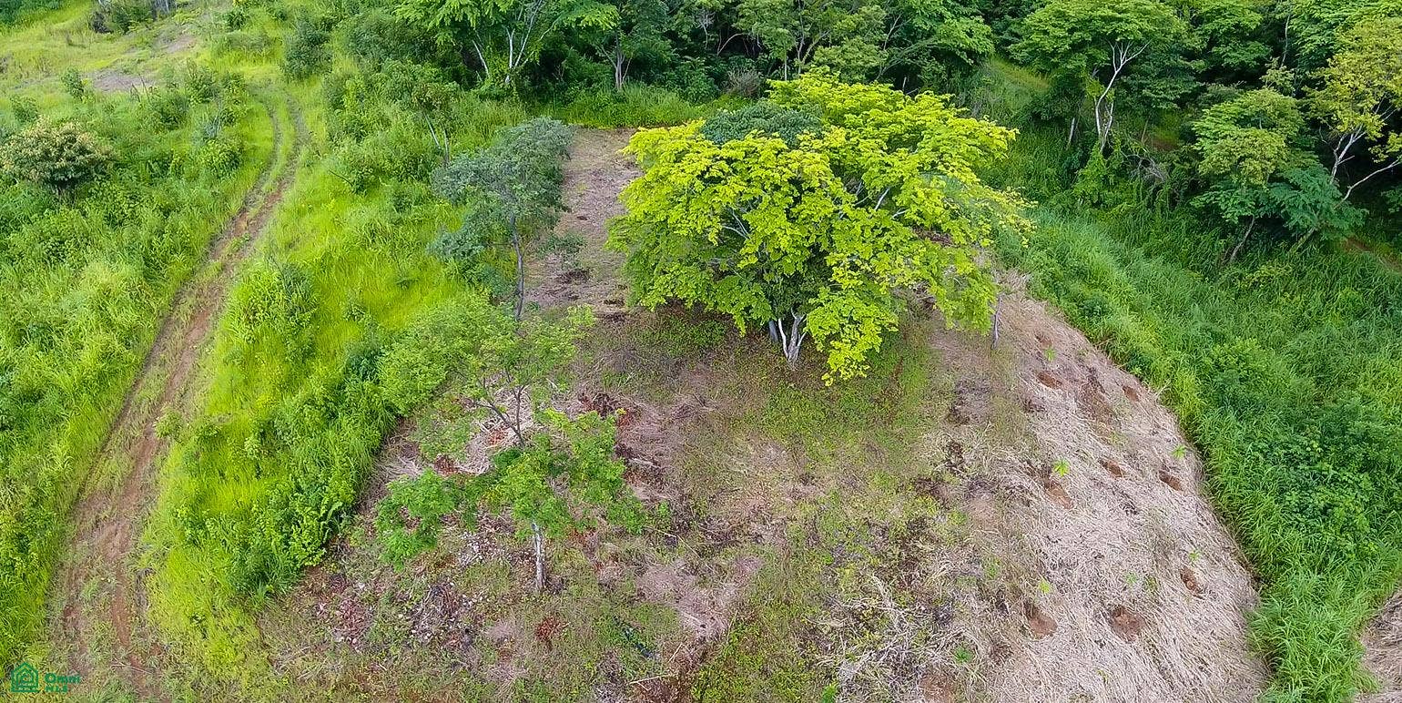 Finca Los Pargos | Prime Location Ocean View Lot, Veinticiete De Abril, Santa Cruz, Guanacaste, Costa Rica 50303