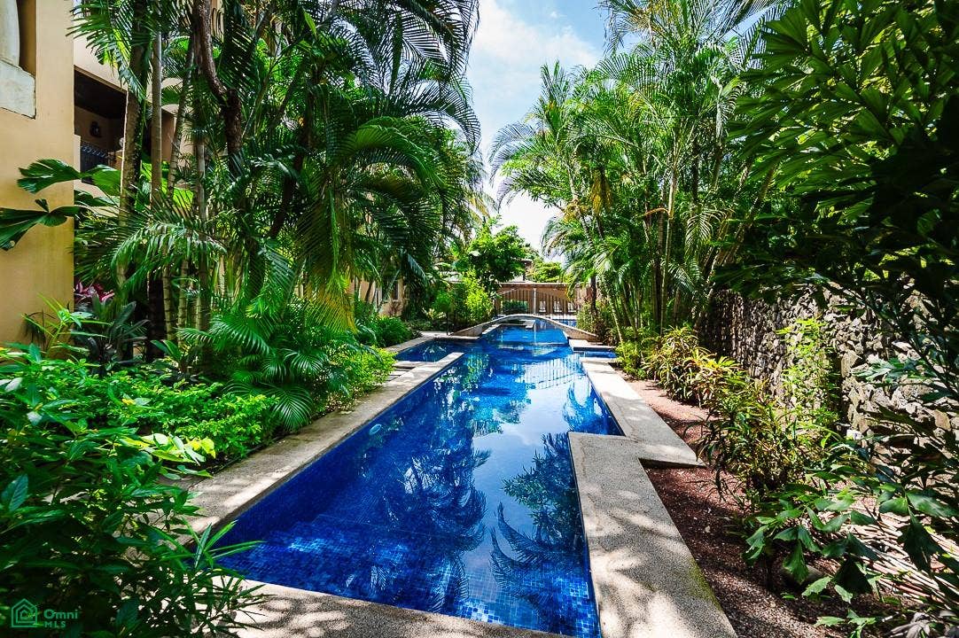 Amazing lap pool set in the lushly landscaped courtyard