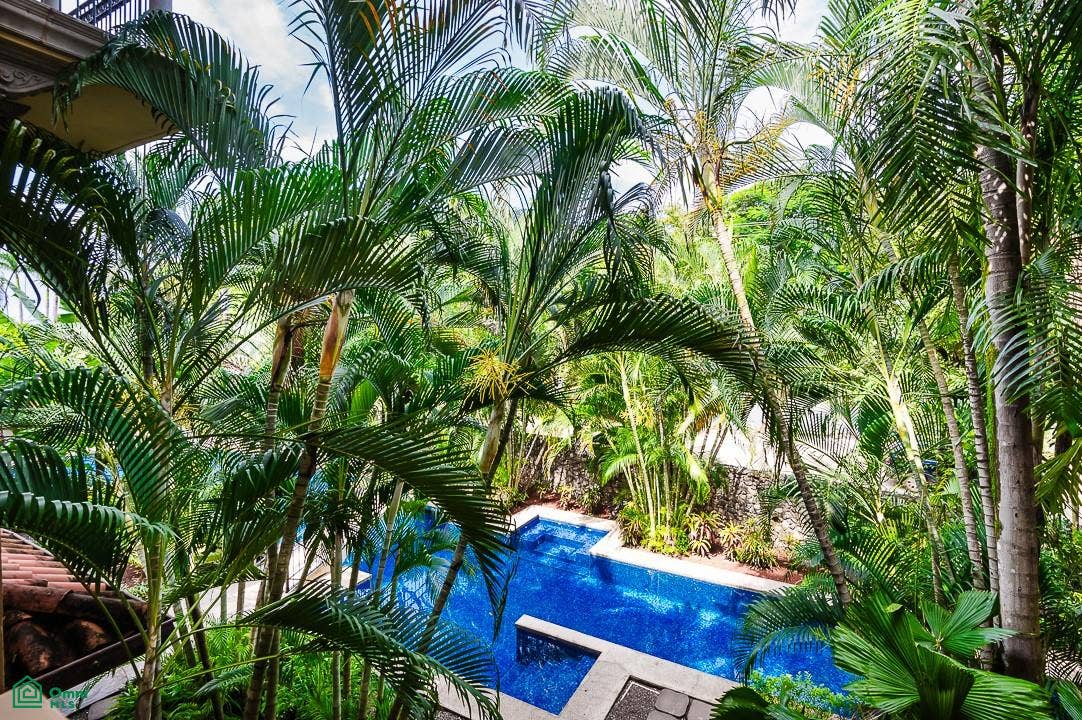La Esquina Condo, Playa Langosta, Tamarindo, Langosta, Tamarindo, Santa Cruz, Guanacaste, Costa Rica 50309
