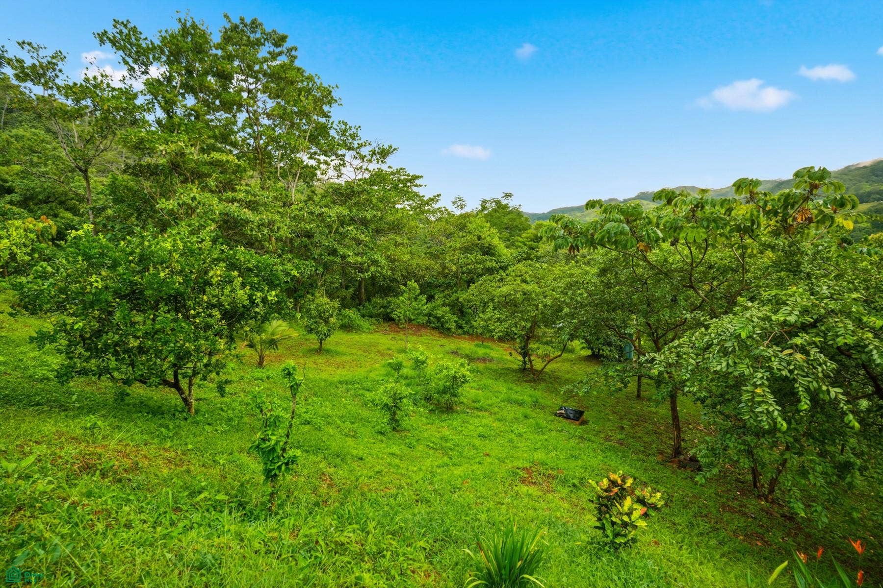 Casa Campeon, Naranjal, Belen De Nosarita, Nicoya, Guanacaste, Costa Rica 50207 Casa Campeon, Naranjal, Belen De Nosarita, Nicoya, Guanacaste, Costa Rica 50207