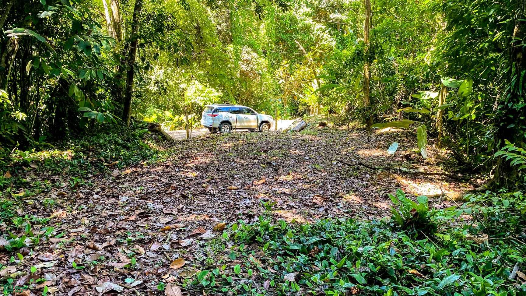 Tres Rios, Costa Azul, Tres Rios, Puerto Corts, Osa, Puntarenas, Costa Rica 60501