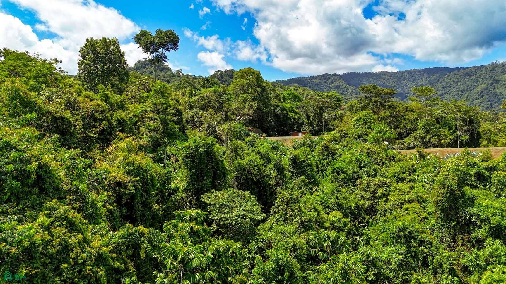 Tres Rios, Costa Azul, Tres Rios, Puerto Corts, Osa, Puntarenas, Costa Rica 60501