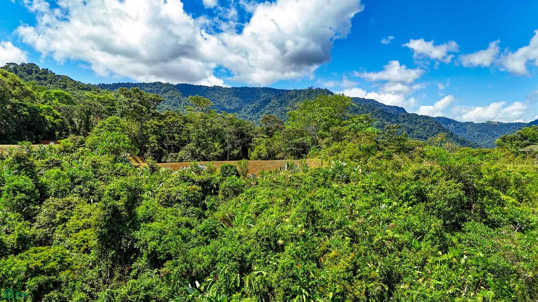 Tres Rios, Costa Azul, Tres Rios, Puerto Corts, Osa, Puntarenas, Costa Rica 60501