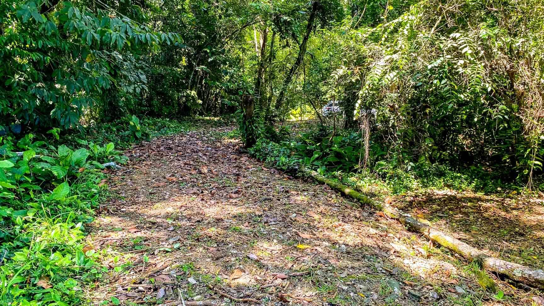 Tres Rios, Costa Azul, Tres Rios, Puerto Corts, Osa, Puntarenas, Costa Rica 60501
