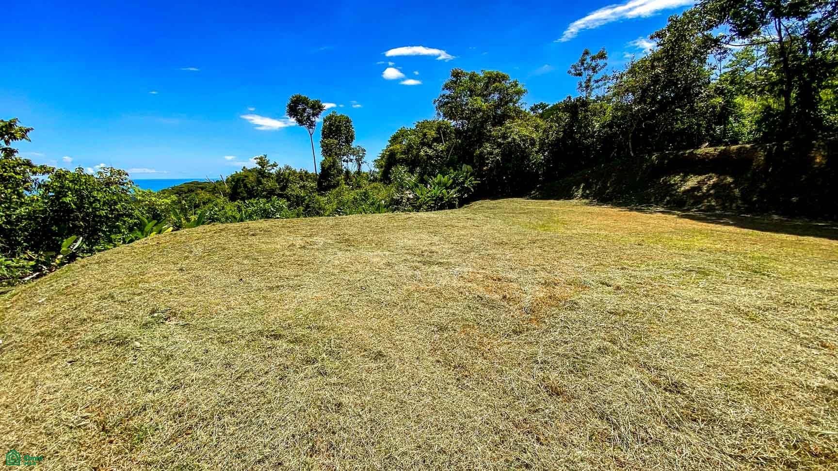 Tres Rios, Costa Azul, Tres Rios, Puerto Corts, Osa, Puntarenas, Costa Rica 60501