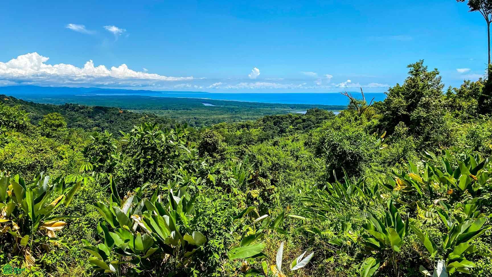 Tres Rios, Costa Azul, Tres Rios, Puerto Corts, Osa, Puntarenas, Costa Rica 60501