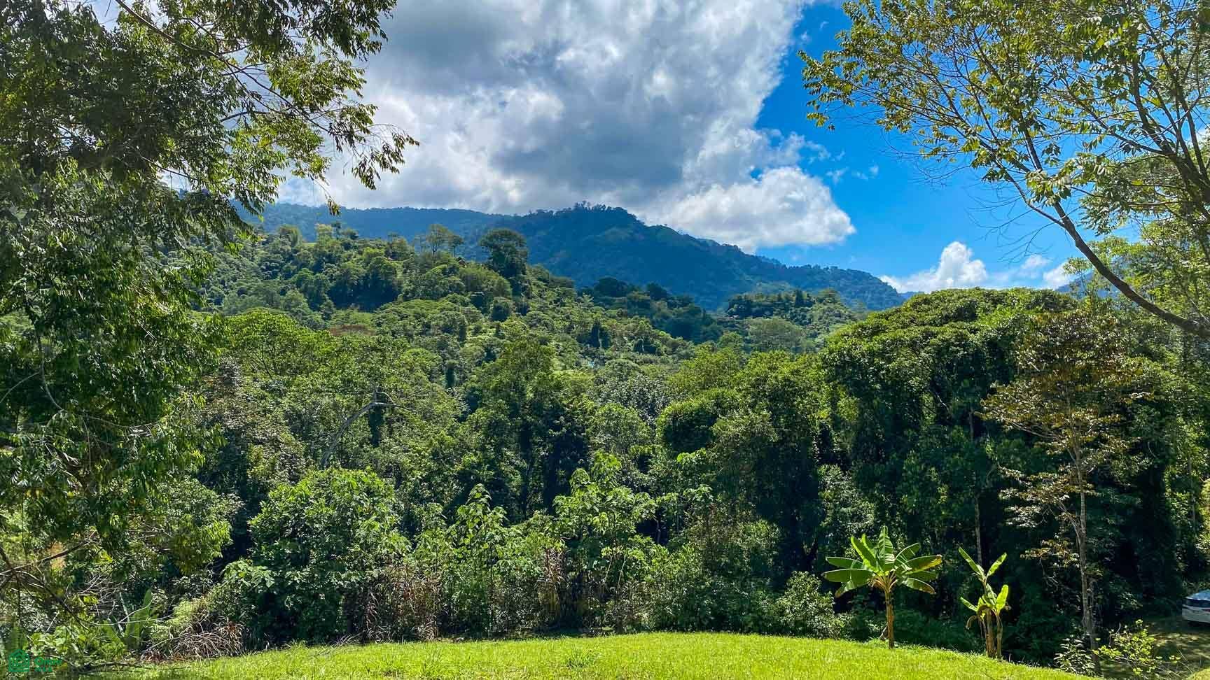 Tres Rios, Costa Azul, Tres Rios, Puerto Corts, Osa, Puntarenas, Costa Rica 60501 Tres Rios, Costa Azul, Tres Rios, Puerto Corts, Osa, Puntarenas, Costa Rica 60501