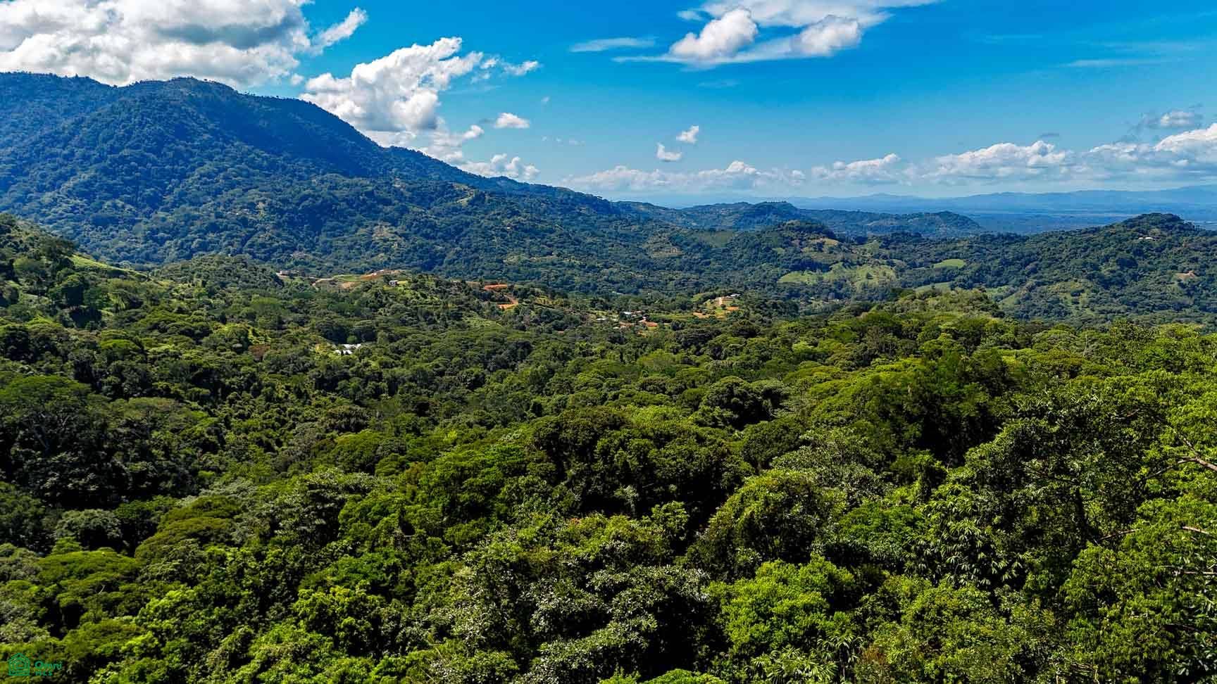 Tres Rios, Costa Azul, Tres Rios, Puerto Corts, Osa, Puntarenas, Costa Rica 60501 Tres Rios, Costa Azul, Tres Rios, Puerto Corts, Osa, Puntarenas, Costa Rica 60501