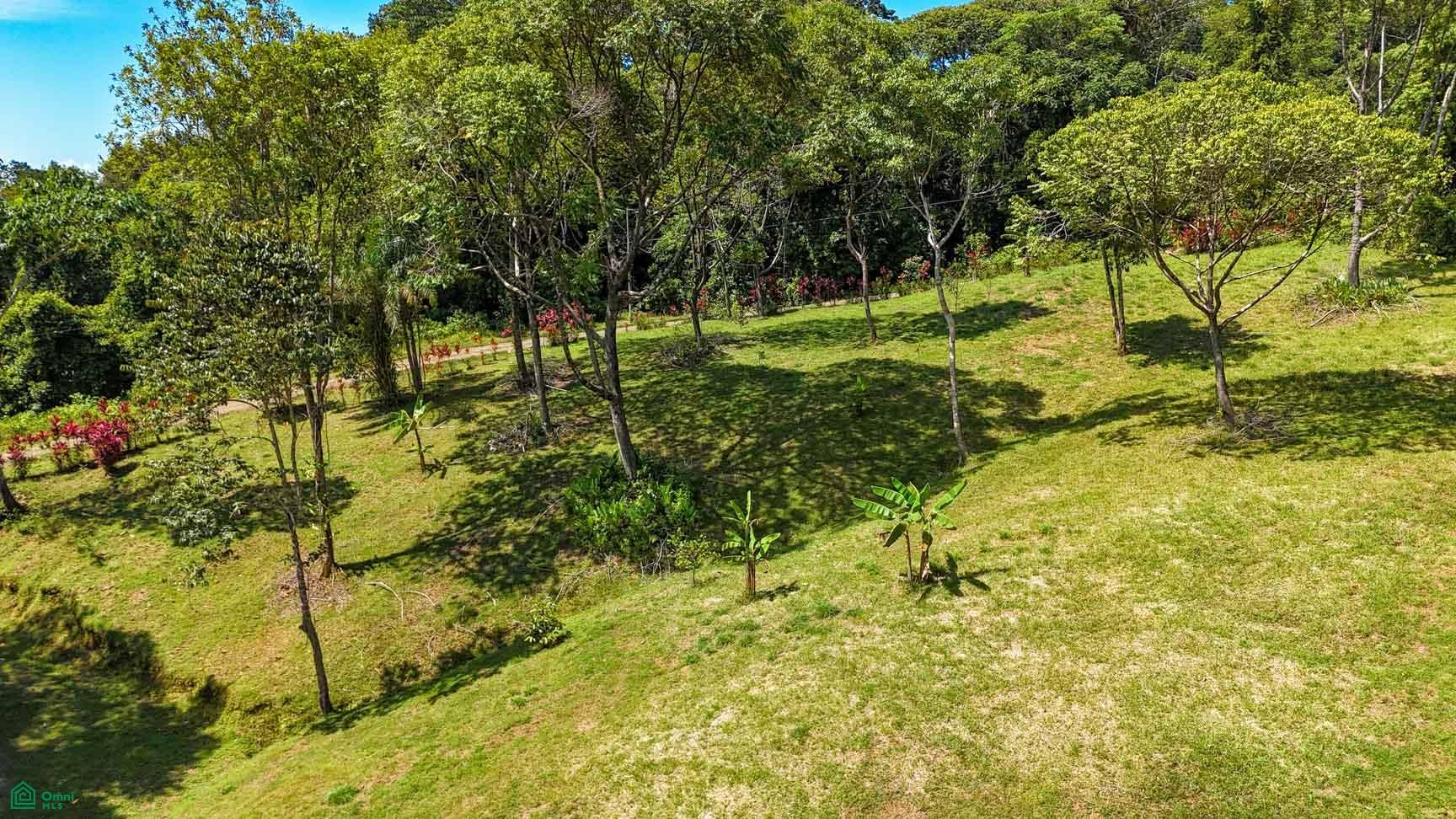 Tres Rios, Costa Azul, Tres Rios, Puerto Corts, Osa, Puntarenas, Costa Rica 60501 Tres Rios, Costa Azul, Tres Rios, Puerto Corts, Osa, Puntarenas, Costa Rica 60501