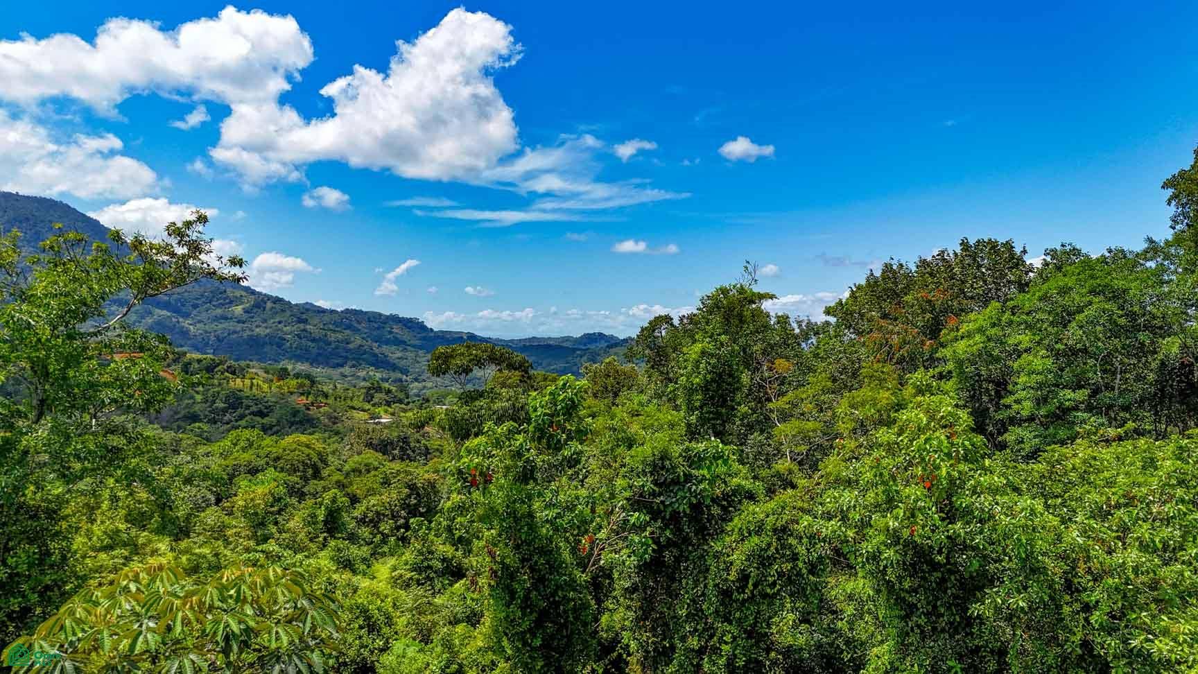 Tres Rios, Costa Azul, Tres Rios, Puerto Corts, Osa, Puntarenas, Costa Rica 60501 Tres Rios, Costa Azul, Tres Rios, Puerto Corts, Osa, Puntarenas, Costa Rica 60501