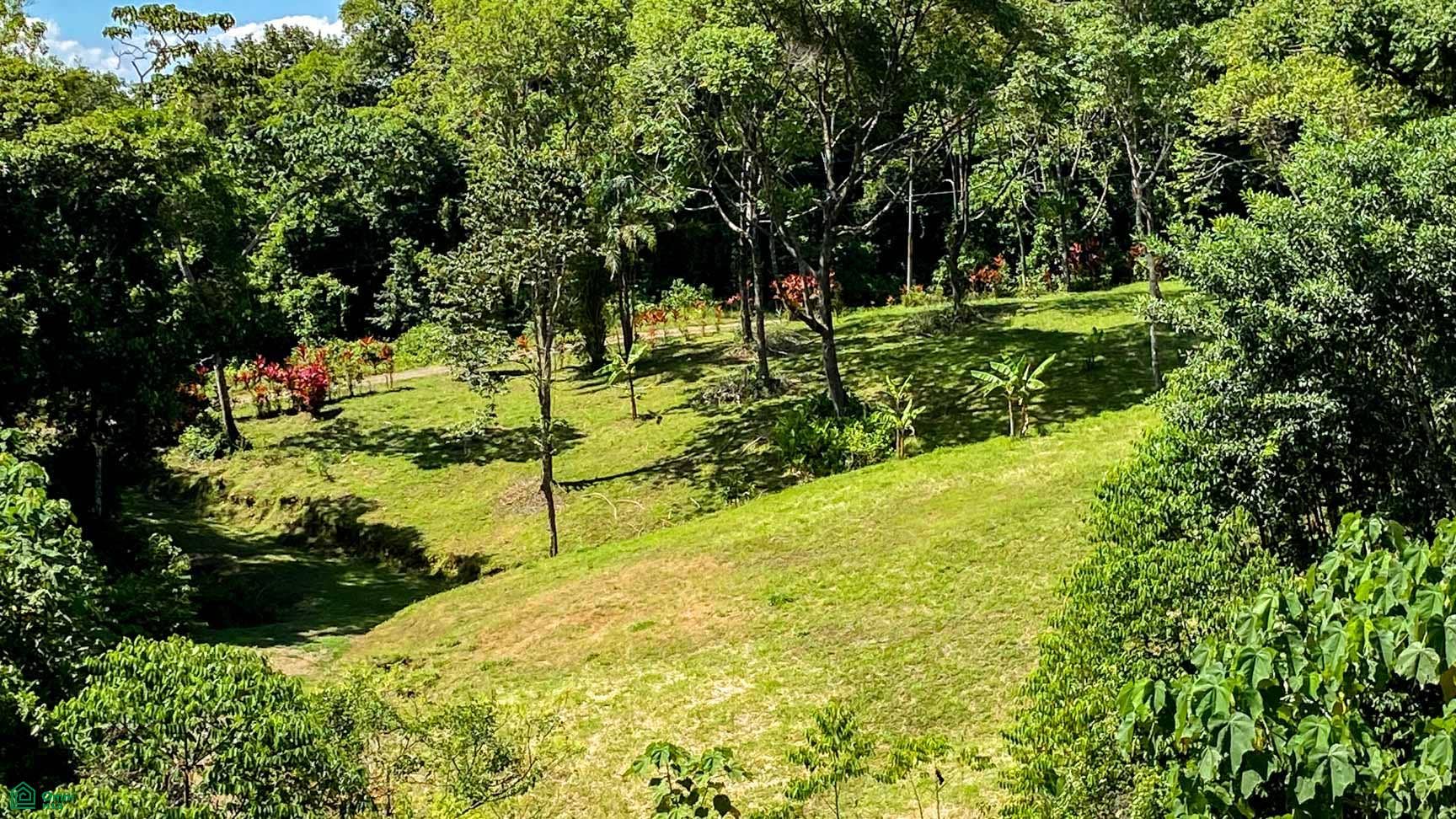 Tres Rios, Costa Azul, Tres Rios, Puerto Corts, Osa, Puntarenas, Costa Rica 60501 Tres Rios, Costa Azul, Tres Rios, Puerto Corts, Osa, Puntarenas, Costa Rica 60501
