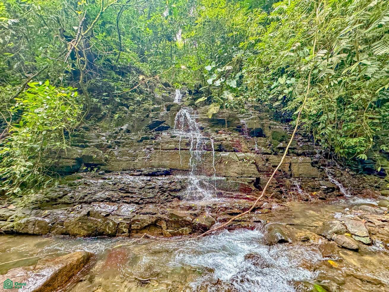 Tres Rios, Costa Azul, Tres Rios, Puerto Corts, Osa, Puntarenas, Costa Rica 60501 Tres Rios, Costa Azul, Tres Rios, Puerto Corts, Osa, Puntarenas, Costa Rica 60501