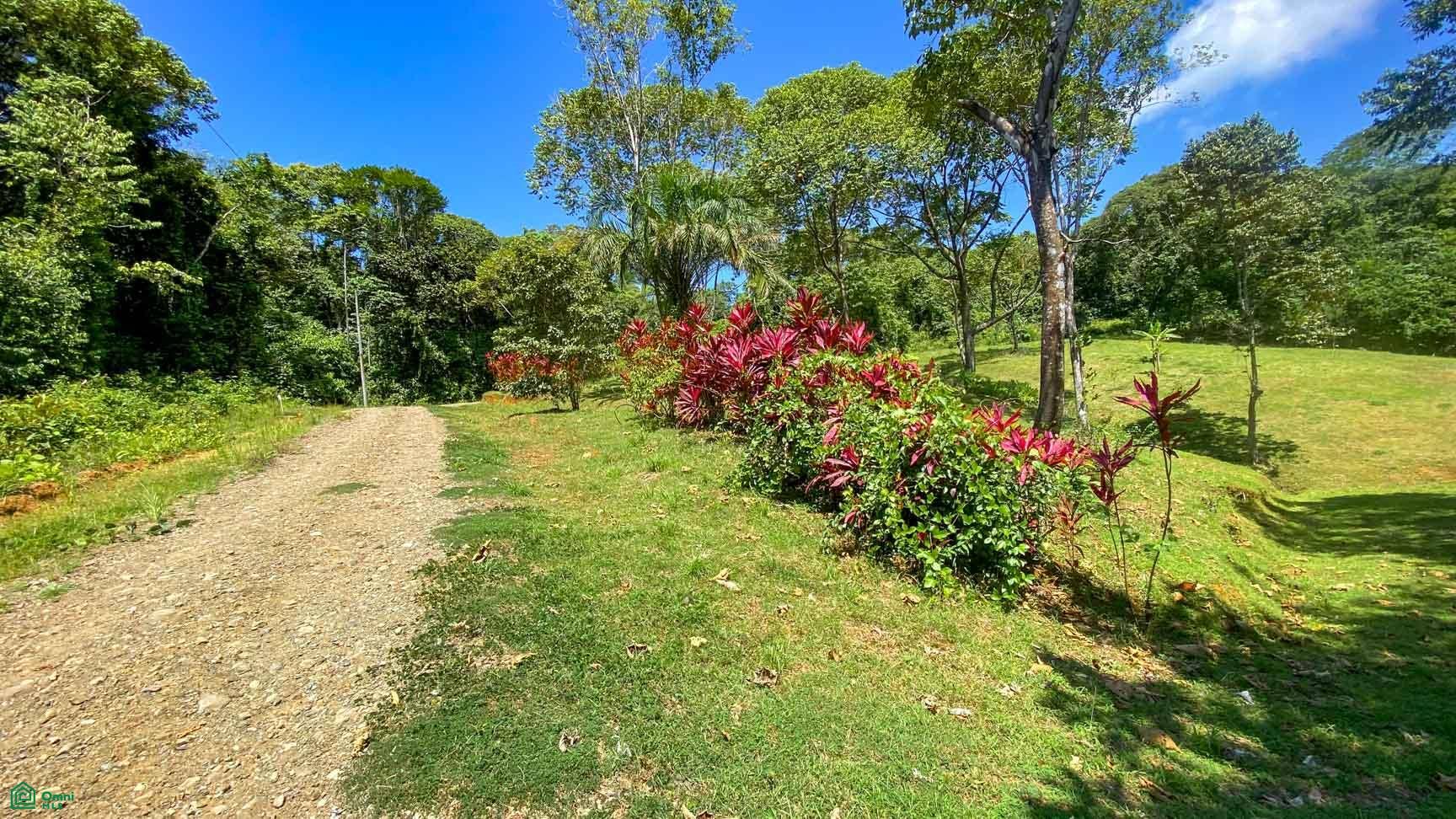 Tres Rios, Costa Azul, Tres Rios, Puerto Corts, Osa, Puntarenas, Costa Rica 60501 Tres Rios, Costa Azul, Tres Rios, Puerto Corts, Osa, Puntarenas, Costa Rica 60501