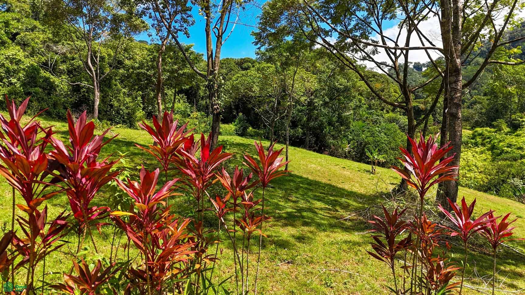 Tres Rios, Costa Azul, Tres Rios, Puerto Corts, Osa, Puntarenas, Costa Rica 60501 Tres Rios, Costa Azul, Tres Rios, Puerto Corts, Osa, Puntarenas, Costa Rica 60501