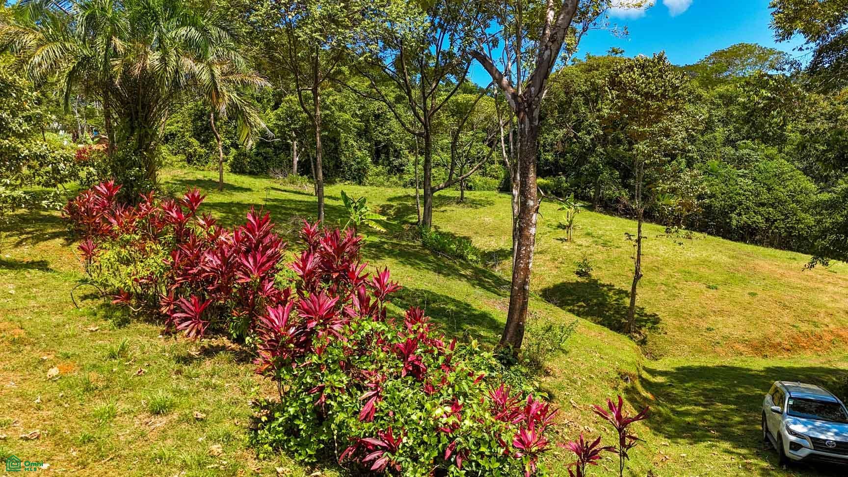 Tres Rios, Costa Azul, Tres Rios, Puerto Corts, Osa, Puntarenas, Costa Rica 60501 Tres Rios, Costa Azul, Tres Rios, Puerto Corts, Osa, Puntarenas, Costa Rica 60501