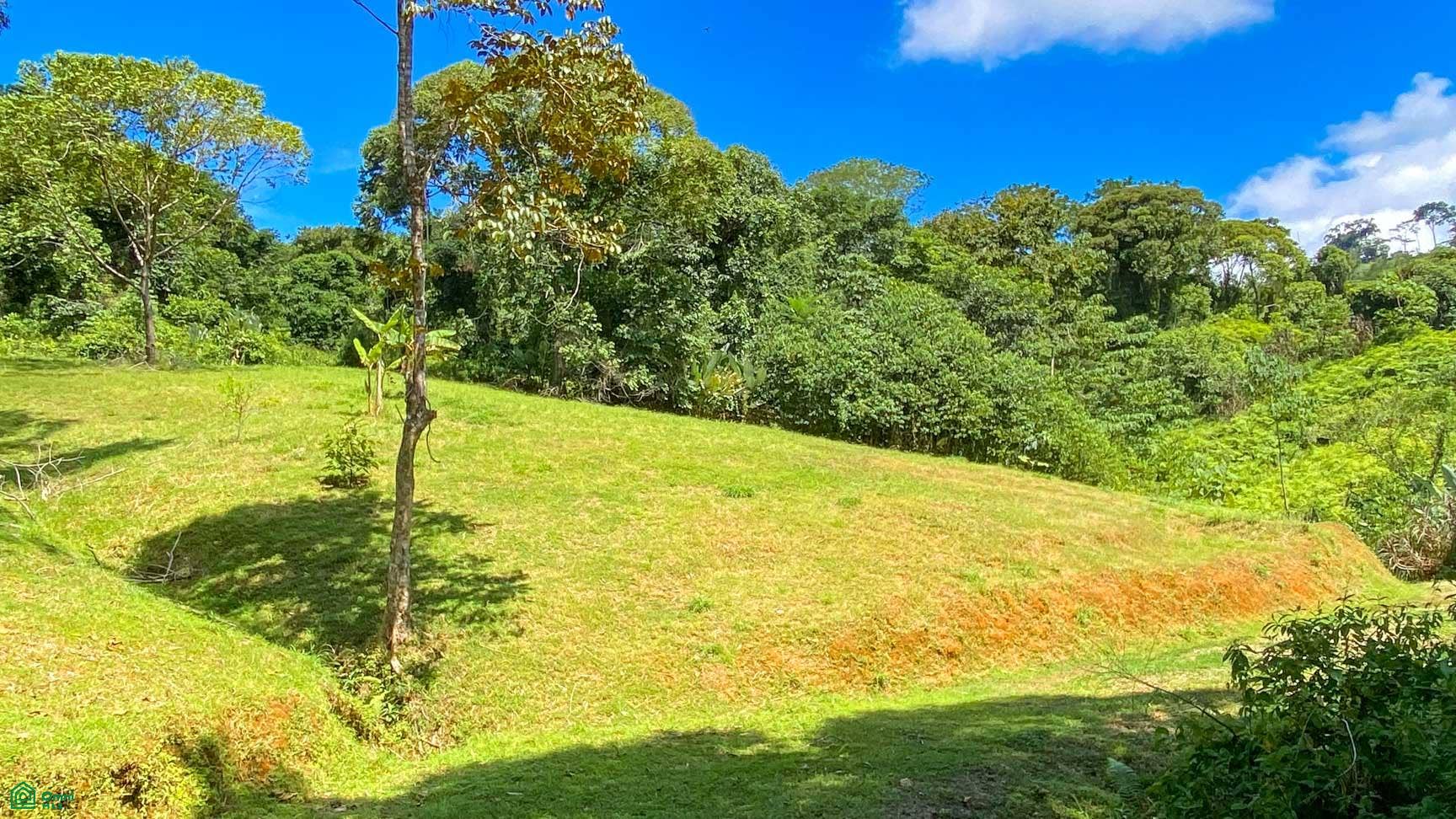 Tres Rios, Costa Azul, Tres Rios, Puerto Corts, Osa, Puntarenas, Costa Rica 60501 Tres Rios, Costa Azul, Tres Rios, Puerto Corts, Osa, Puntarenas, Costa Rica 60501