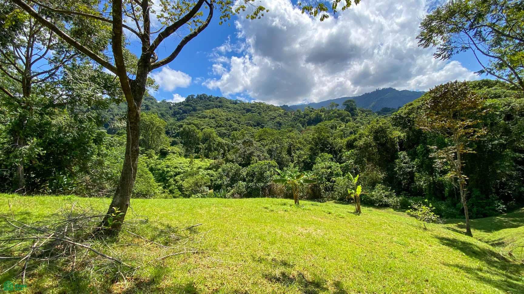 Tres Rios, Costa Azul, Tres Rios, Puerto Corts, Osa, Puntarenas, Costa Rica 60501 Tres Rios, Costa Azul, Tres Rios, Puerto Corts, Osa, Puntarenas, Costa Rica 60501
