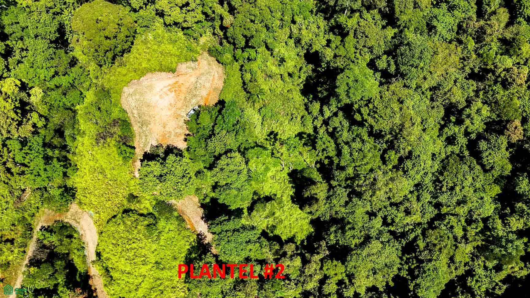 Tres Rios, Costa Azul, Tres Rios, Puerto Corts, Osa, Puntarenas, Costa Rica 60501 Tres Rios, Costa Azul, Tres Rios, Puerto Corts, Osa, Puntarenas, Costa Rica 60501