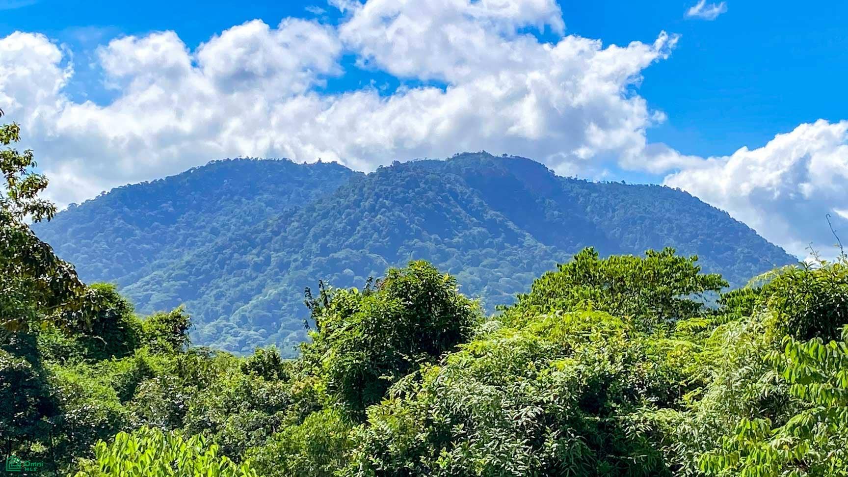 Tres Rios, Costa Azul, Tres Rios, Puerto Corts, Osa, Puntarenas, Costa Rica 60501 Tres Rios, Costa Azul, Tres Rios, Puerto Corts, Osa, Puntarenas, Costa Rica 60501