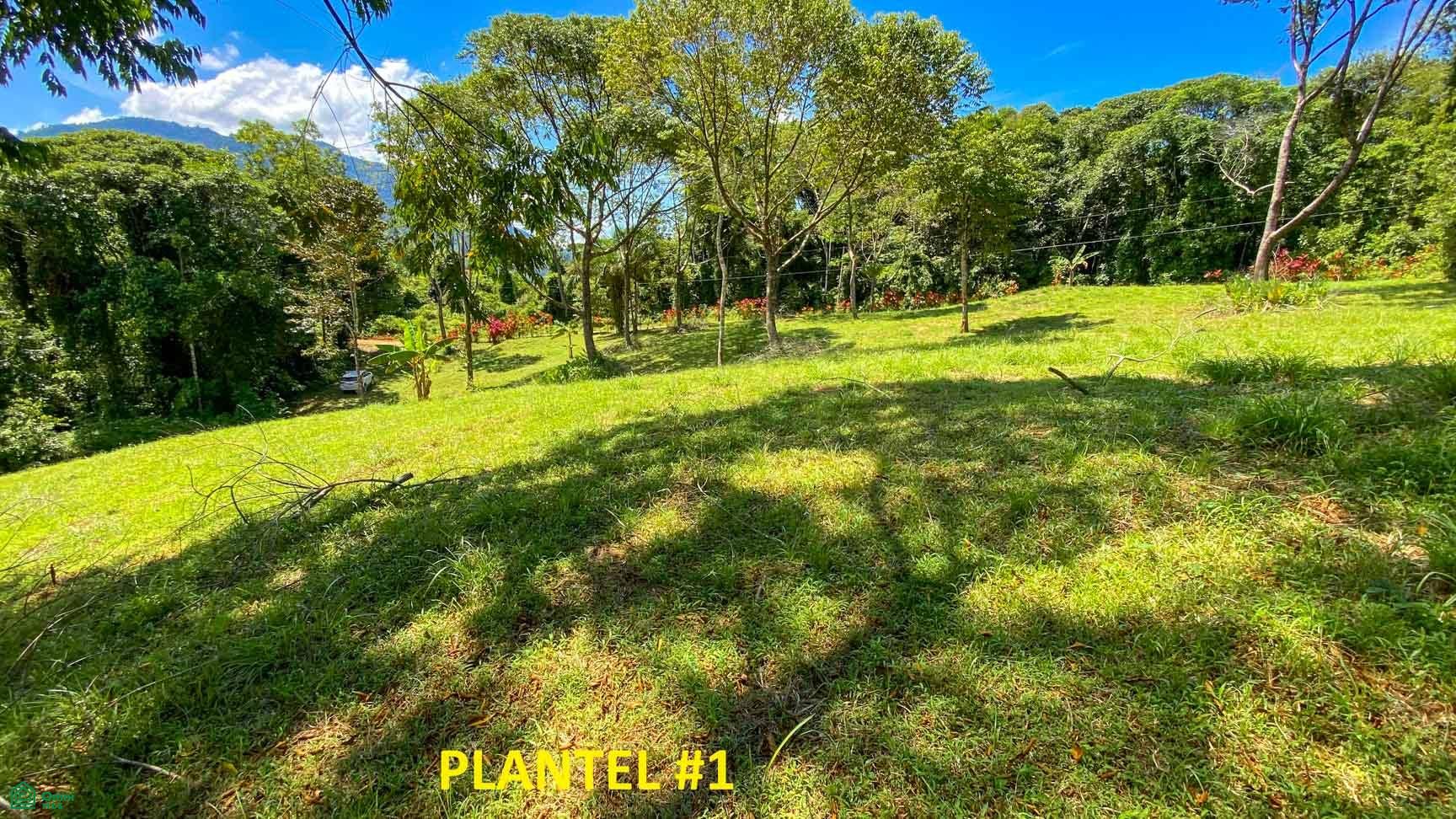 Tres Rios, Costa Azul, Tres Rios, Puerto Corts, Osa, Puntarenas, Costa Rica 60501 Tres Rios, Costa Azul, Tres Rios, Puerto Corts, Osa, Puntarenas, Costa Rica 60501