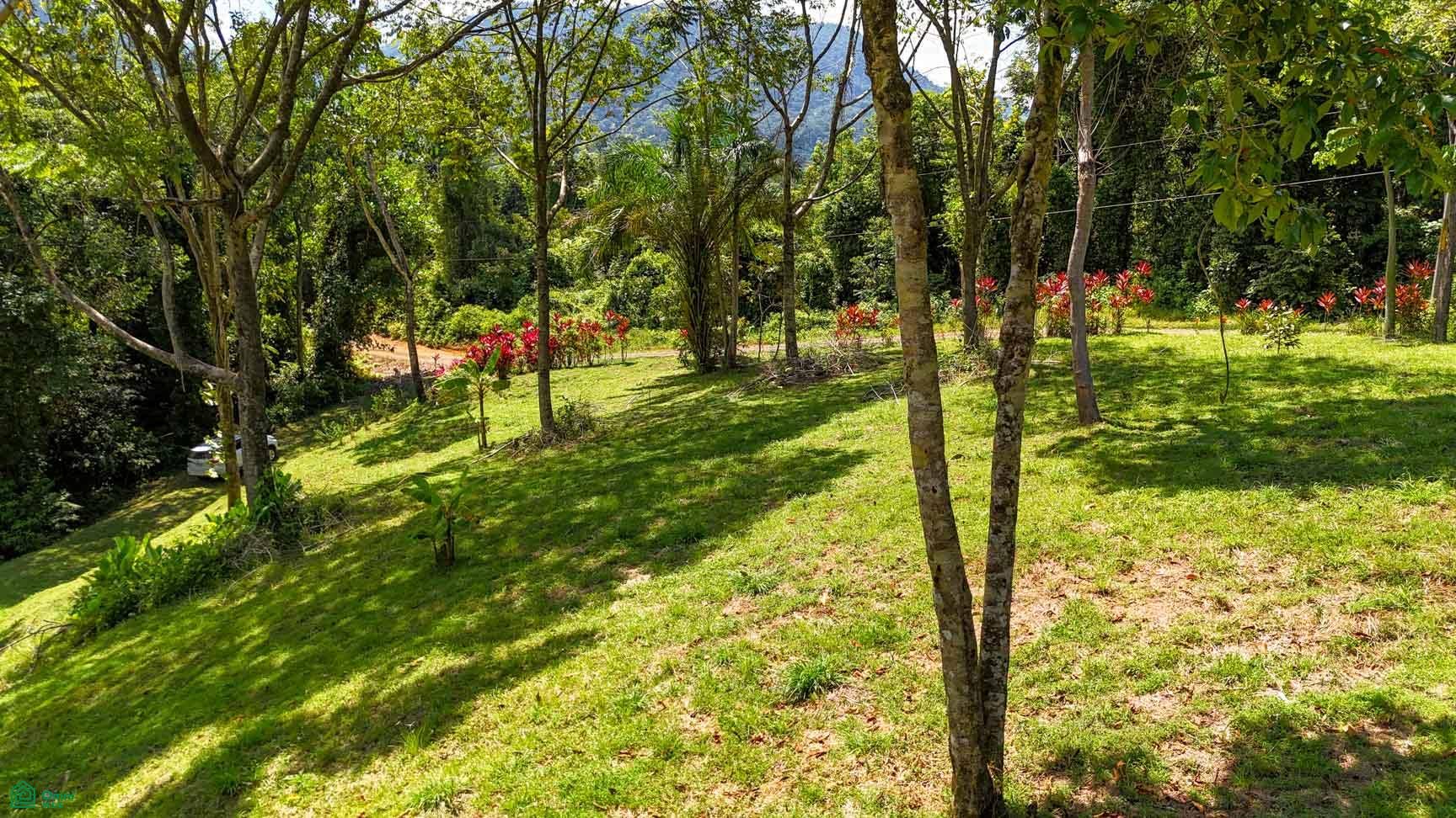 Tres Rios, Costa Azul, Tres Rios, Puerto Corts, Osa, Puntarenas, Costa Rica 60501 Tres Rios, Costa Azul, Tres Rios, Puerto Corts, Osa, Puntarenas, Costa Rica 60501