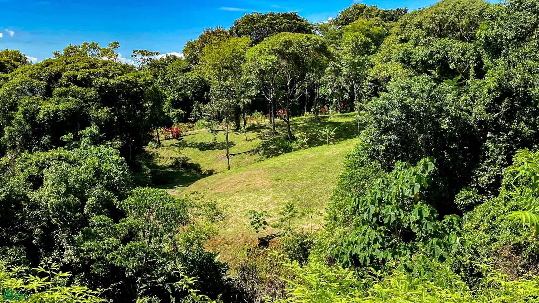 Tres Rios, Costa Azul, Tres Rios, Puerto Corts, Osa, Puntarenas, Costa Rica 60501 Tres Rios, Costa Azul, Tres Rios, Puerto Corts, Osa, Puntarenas, Costa Rica 60501