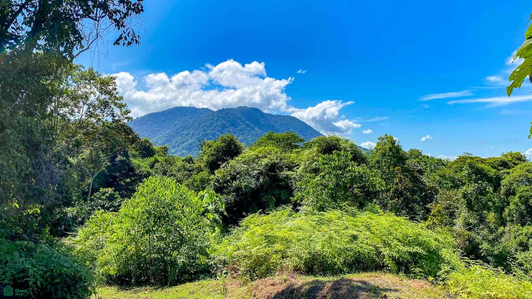 Tres Rios, Costa Azul, Tres Rios, Puerto Corts, Osa, Puntarenas, Costa Rica 60501 Tres Rios, Costa Azul, Tres Rios, Puerto Corts, Osa, Puntarenas, Costa Rica 60501