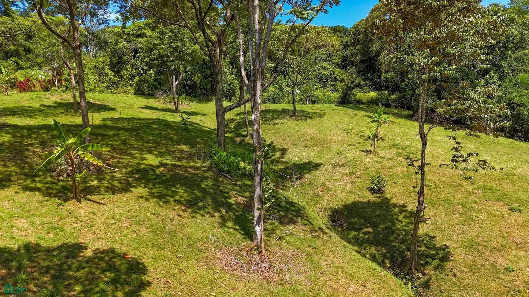 Tres Rios, Costa Azul, Tres Rios, Puerto Corts, Osa, Puntarenas, Costa Rica 60501 Tres Rios, Costa Azul, Tres Rios, Puerto Corts, Osa, Puntarenas, Costa Rica 60501