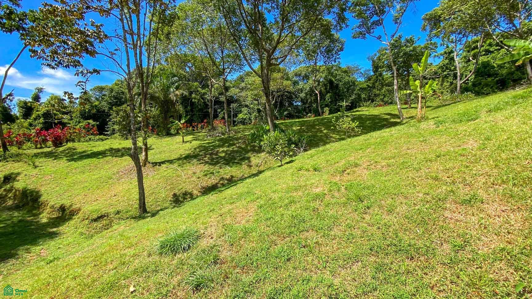 Tres Rios, Costa Azul, Tres Rios, Puerto Corts, Osa, Puntarenas, Costa Rica 60501 Tres Rios, Costa Azul, Tres Rios, Puerto Corts, Osa, Puntarenas, Costa Rica 60501