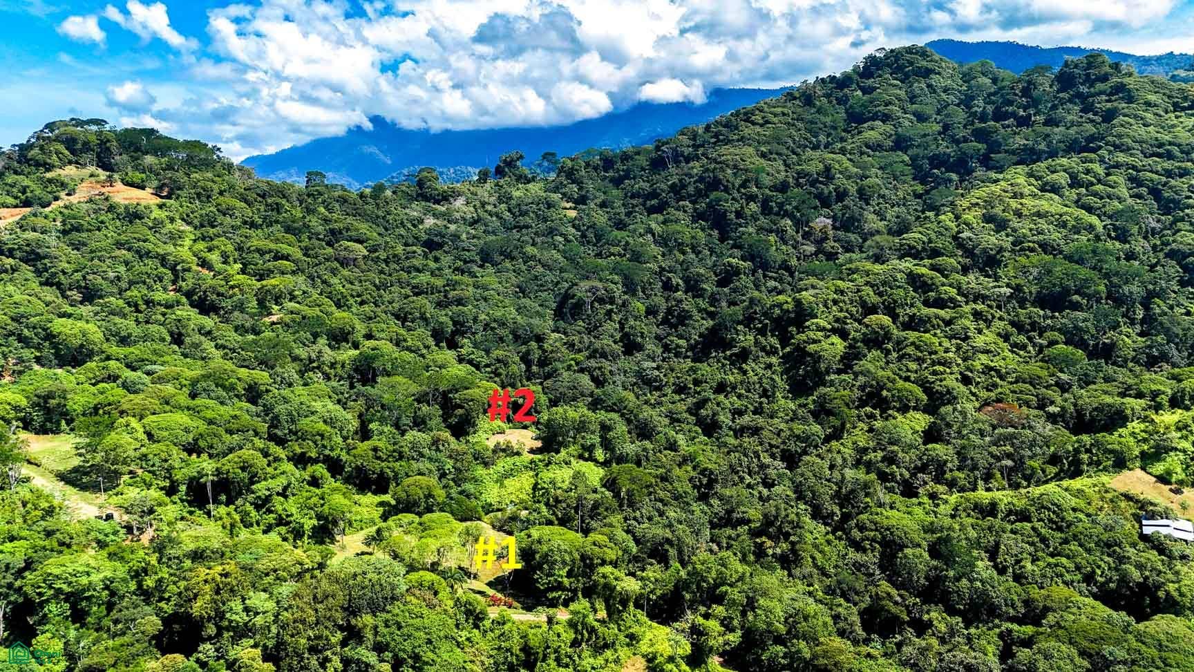 Tres Rios, Costa Azul, Tres Rios, Puerto Corts, Osa, Puntarenas, Costa Rica 60501 Tres Rios, Costa Azul, Tres Rios, Puerto Corts, Osa, Puntarenas, Costa Rica 60501