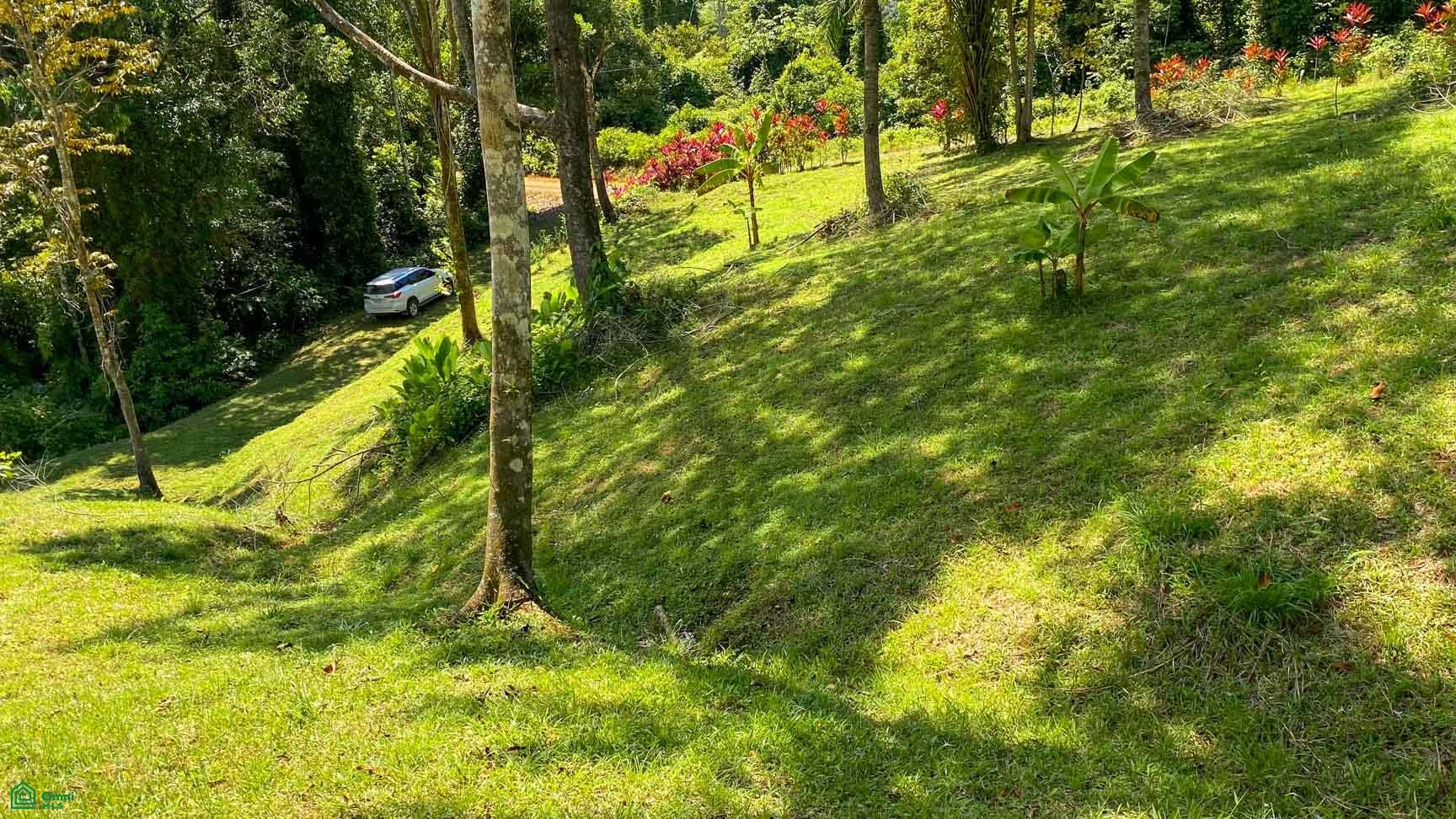 Tres Rios, Costa Azul, Tres Rios, Puerto Corts, Osa, Puntarenas, Costa Rica 60501 Tres Rios, Costa Azul, Tres Rios, Puerto Corts, Osa, Puntarenas, Costa Rica 60501