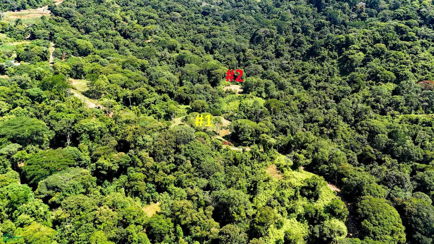 Tres Rios, Costa Azul, Tres Rios, Puerto Corts, Osa, Puntarenas, Costa Rica 60501 Tres Rios, Costa Azul, Tres Rios, Puerto Corts, Osa, Puntarenas, Costa Rica 60501