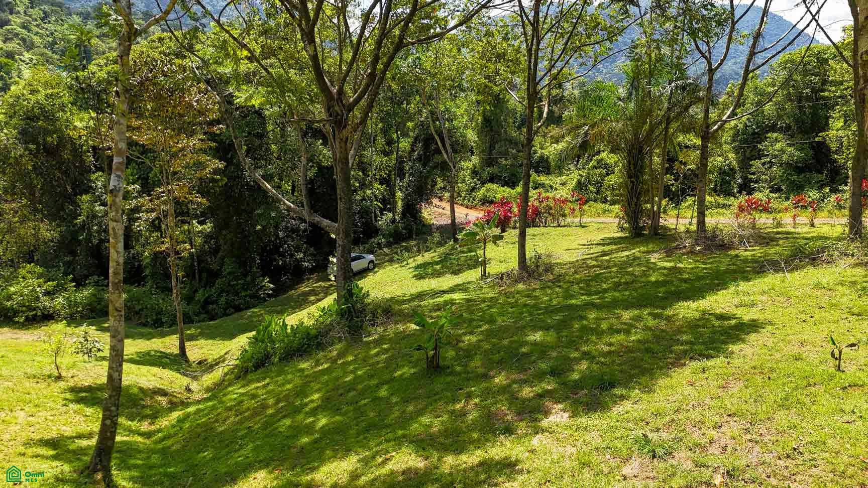 Tres Rios, Costa Azul, Tres Rios, Puerto Corts, Osa, Puntarenas, Costa Rica 60501 Tres Rios, Costa Azul, Tres Rios, Puerto Corts, Osa, Puntarenas, Costa Rica 60501