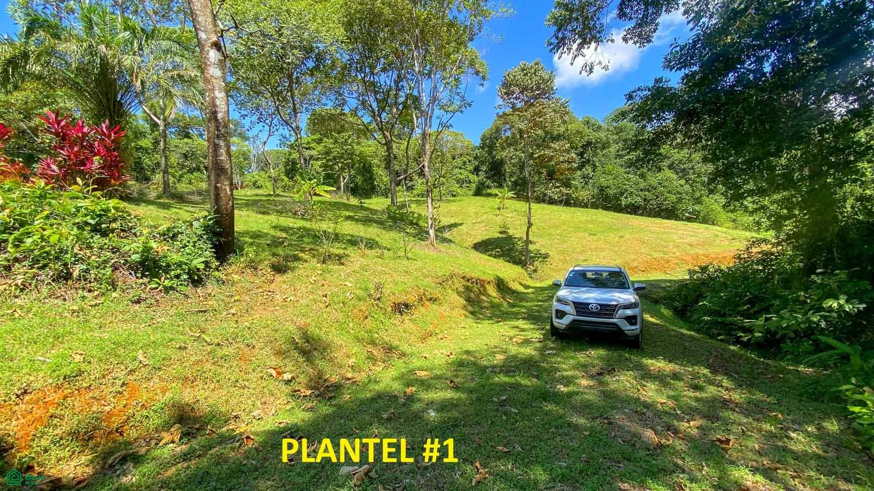 Tres Rios, Costa Azul, Tres Rios, Puerto Corts, Osa, Puntarenas, Costa Rica 60501 Tres Rios, Costa Azul, Tres Rios, Puerto Corts, Osa, Puntarenas, Costa Rica 60501