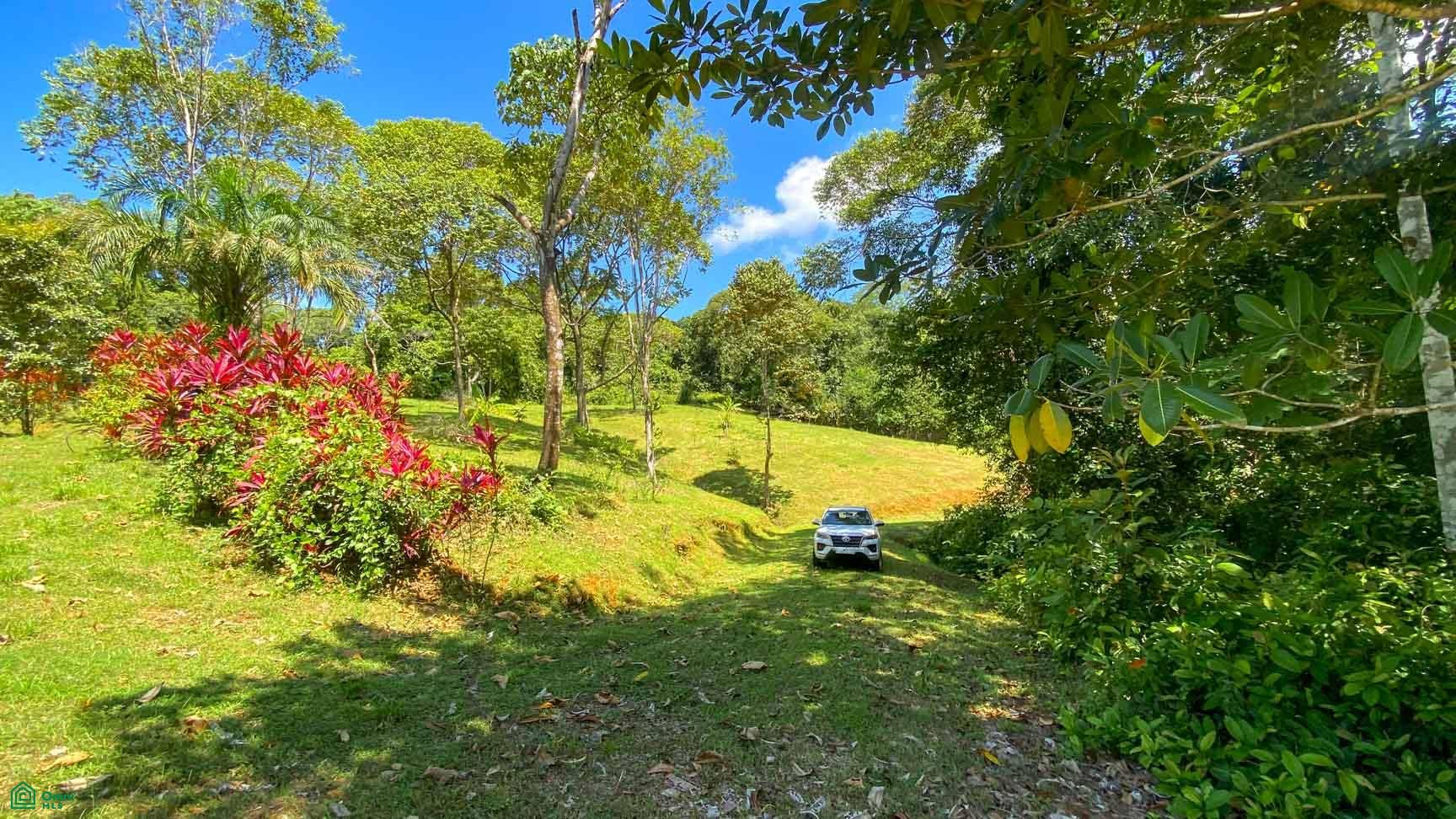 Tres Rios, Costa Azul, Tres Rios, Puerto Corts, Osa, Puntarenas, Costa Rica 60501 Tres Rios, Costa Azul, Tres Rios, Puerto Corts, Osa, Puntarenas, Costa Rica 60501