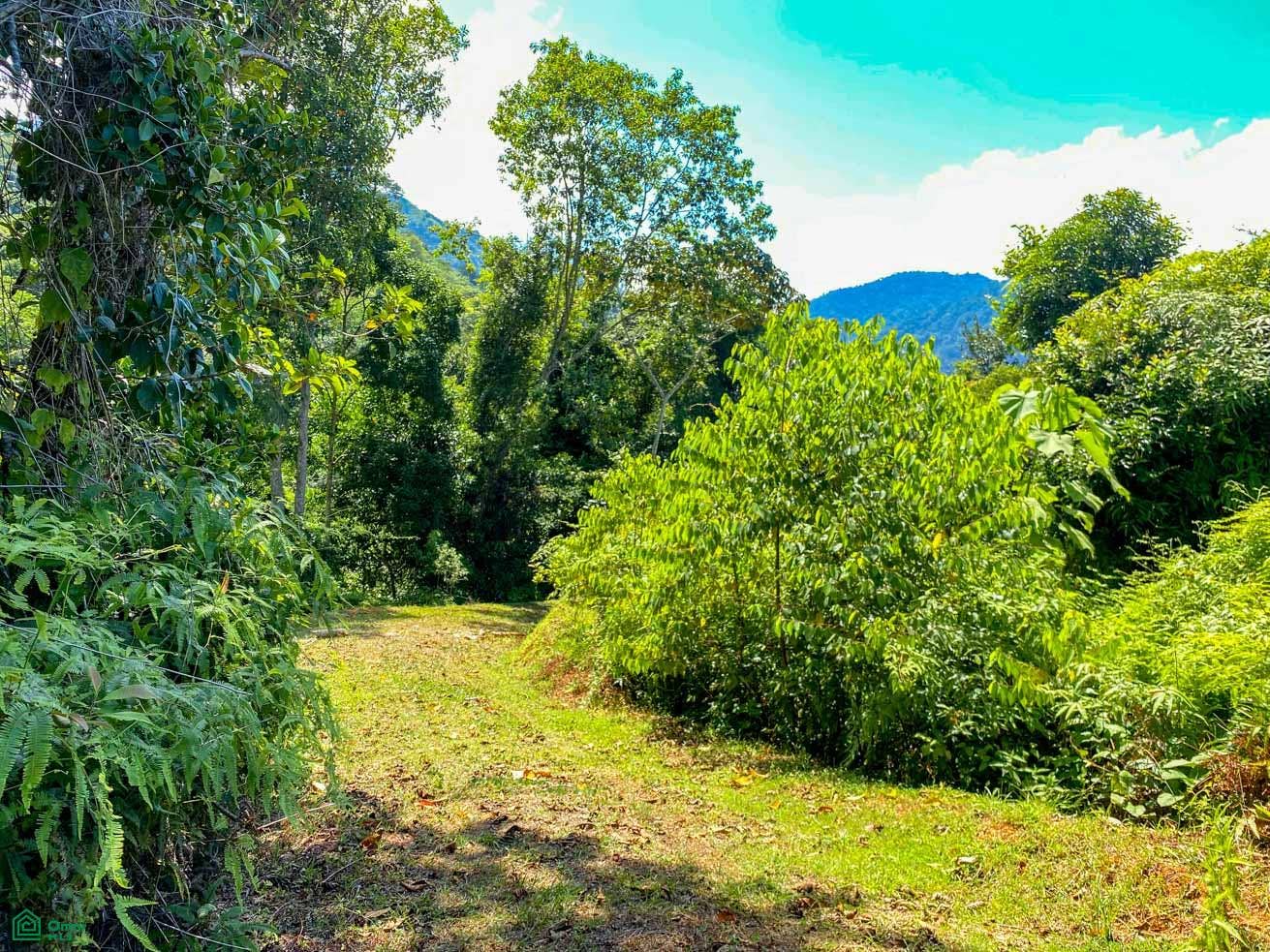 Tres Rios, Costa Azul, Tres Rios, Puerto Corts, Osa, Puntarenas, Costa Rica 60501 Tres Rios, Costa Azul, Tres Rios, Puerto Corts, Osa, Puntarenas, Costa Rica 60501