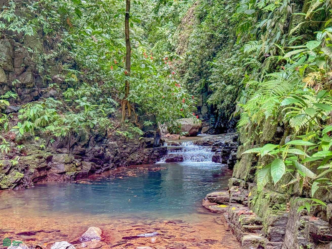 Tres Rios, Costa Azul, Tres Rios, Puerto Corts, Osa, Puntarenas, Costa Rica 60501 Tres Rios, Costa Azul, Tres Rios, Puerto Corts, Osa, Puntarenas, Costa Rica 60501