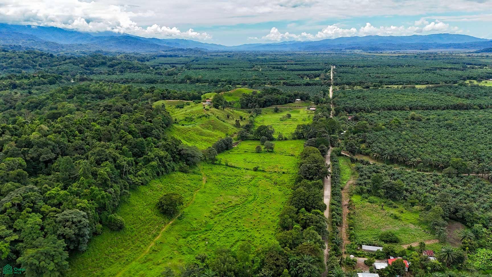 Palmar, Osa, Palmar, Puerto Corts, Osa, Puntarenas, Costa Rica 60501