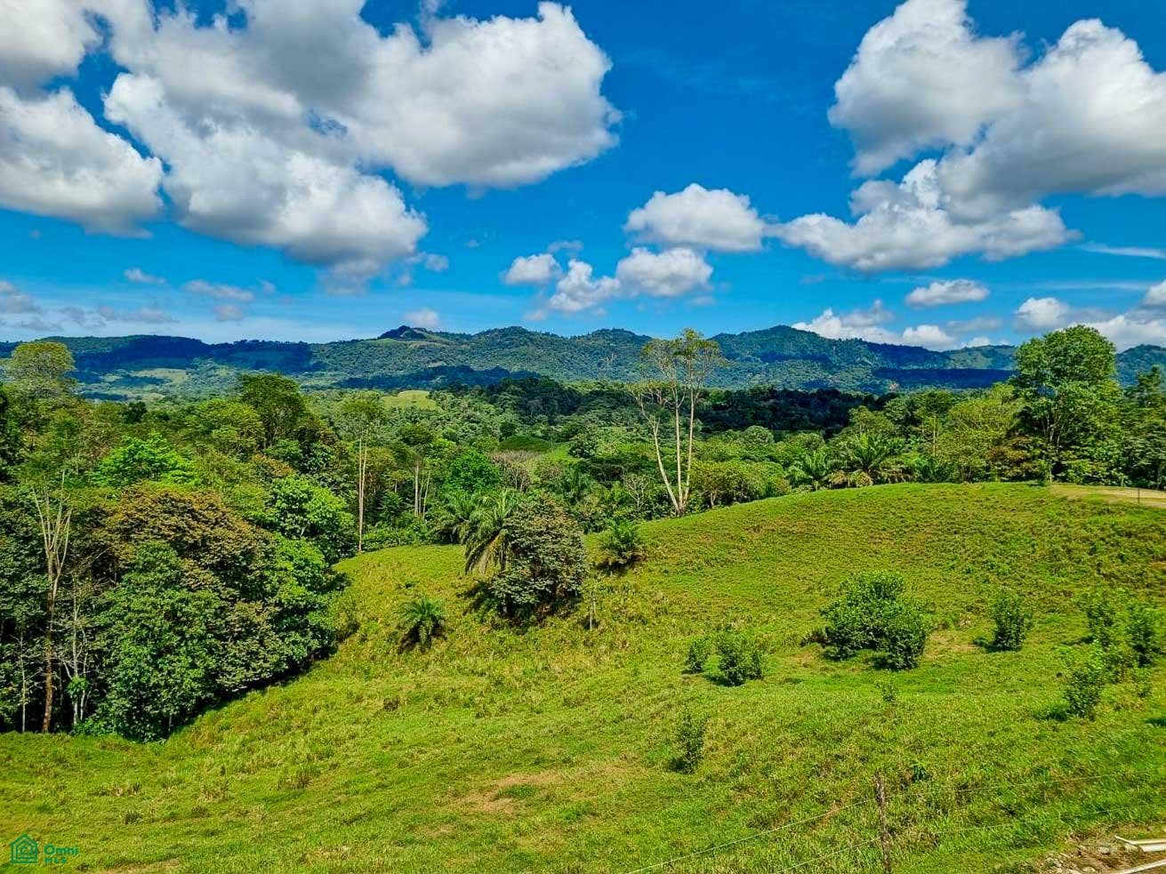 Palmar, Osa, Palmar, Puerto Corts, Osa, Puntarenas, Costa Rica 60501