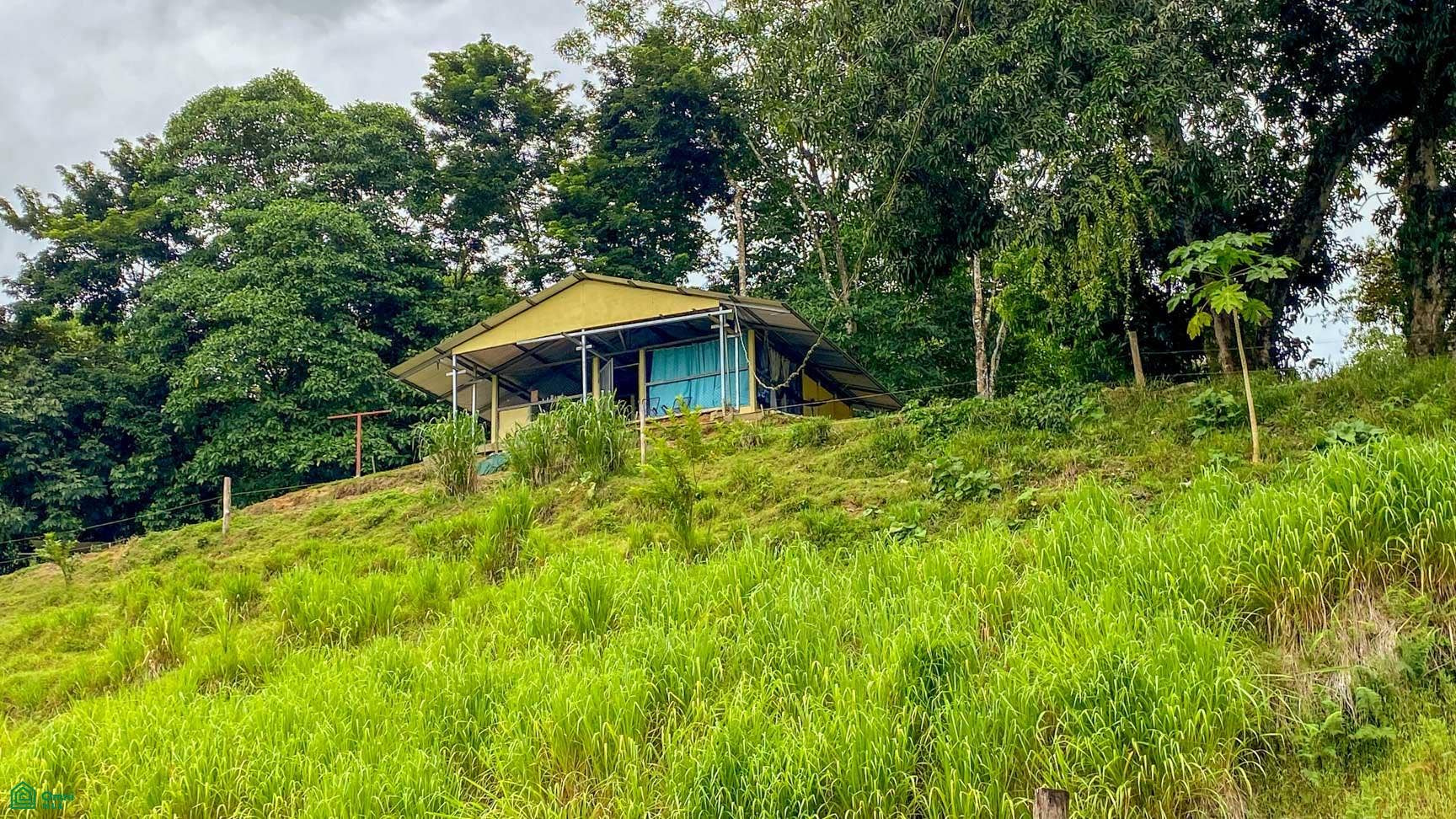 Palmar, Osa, Palmar, Puerto Corts, Osa, Puntarenas, Costa Rica 60501