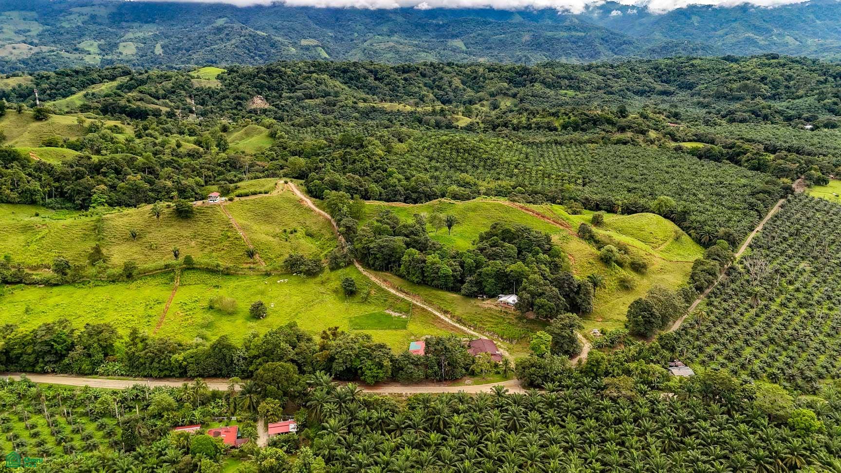 Palmar, Osa, Palmar, Puerto Corts, Osa, Puntarenas, Costa Rica 60501