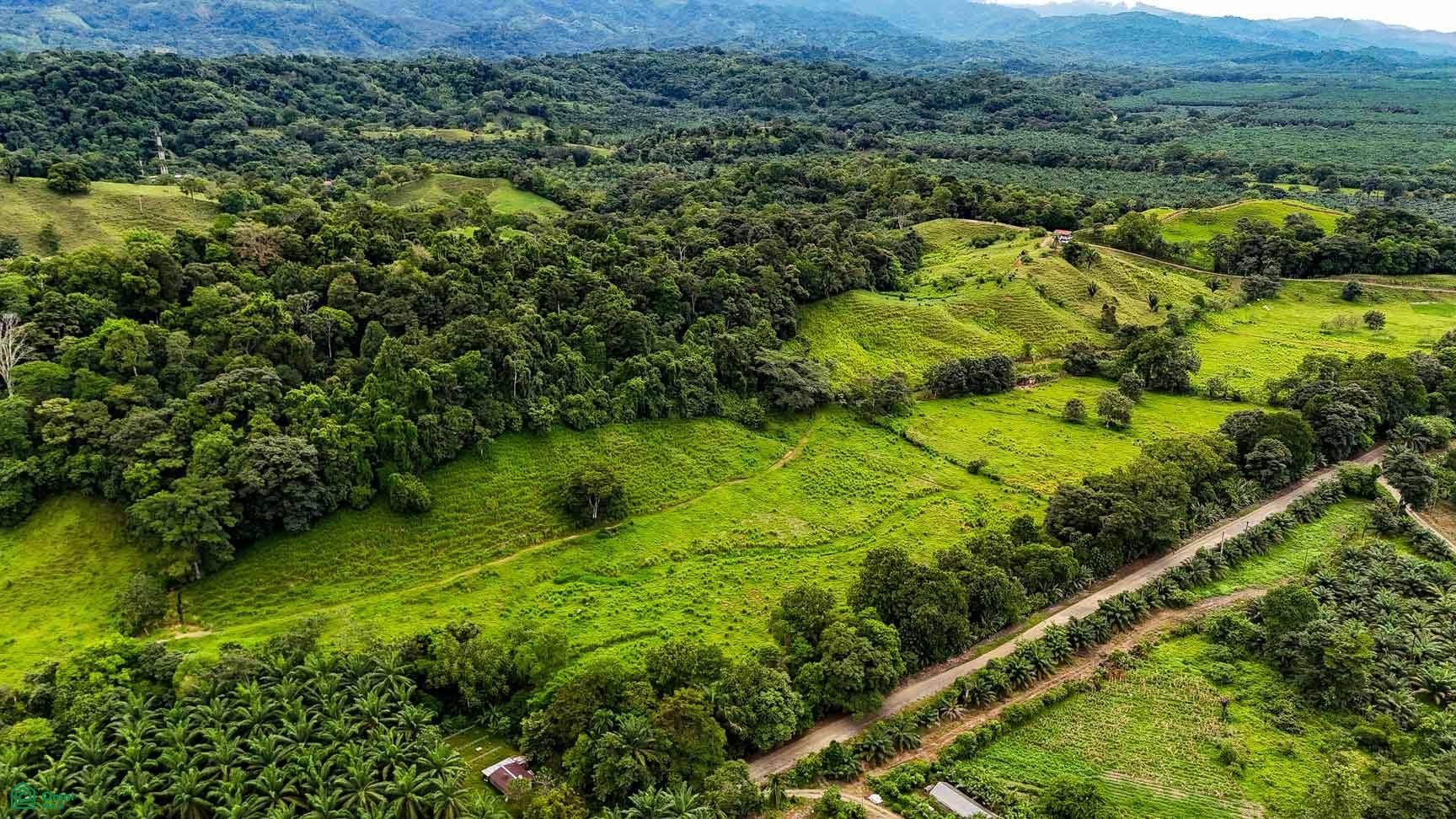 Palmar, Osa, Palmar, Puerto Corts, Osa, Puntarenas, Costa Rica 60501