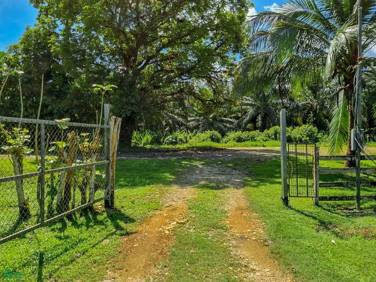 Palmar, Osa, Palmar, Puerto Corts, Osa, Puntarenas, Costa Rica 60501