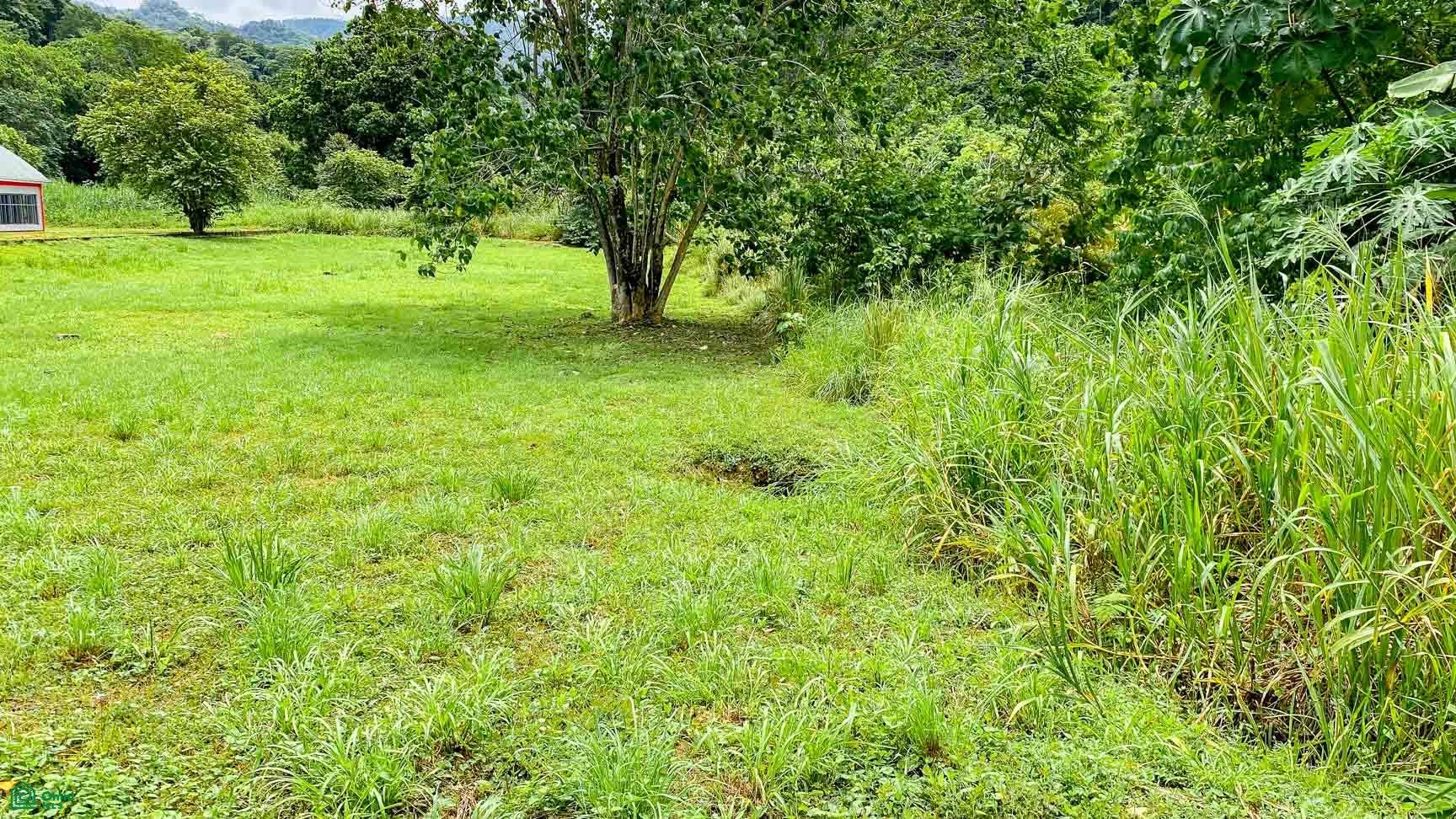 Coronado, Osa, Coronado, Osa, Puerto Corts, Osa, Puntarenas, Costa Rica 60501 Coronado, Osa, Coronado, Osa, Puerto Corts, Osa, Puntarenas, Costa Rica 60501