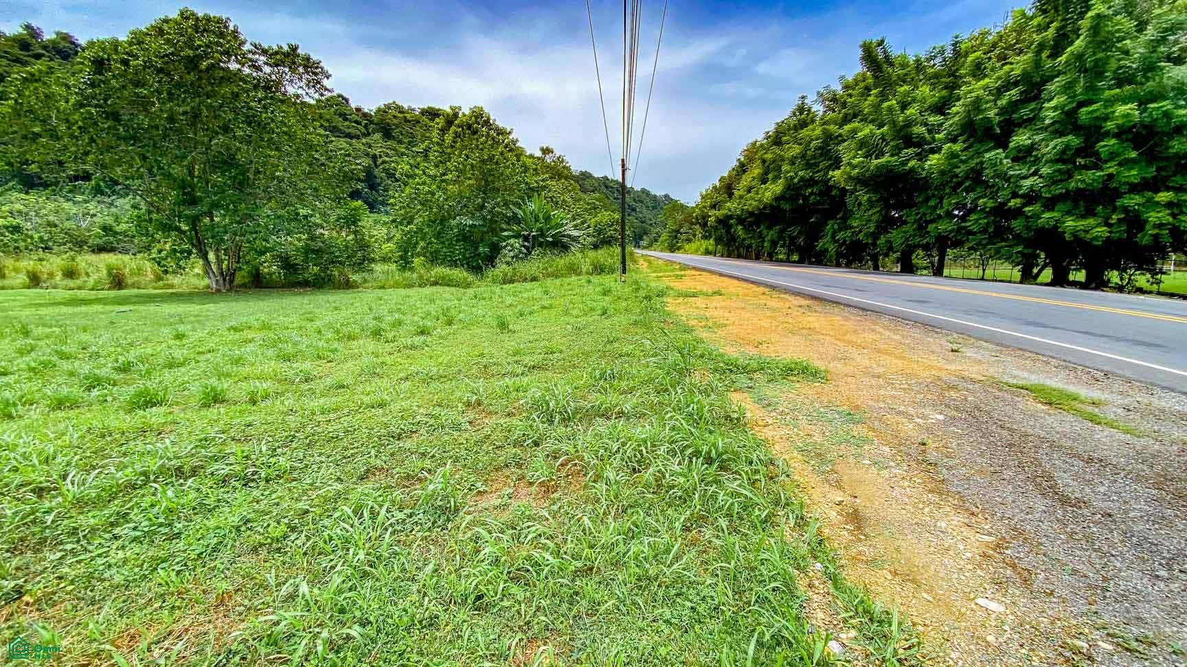 Coronado, Osa, Coronado, Osa, Puerto Corts, Osa, Puntarenas, Costa Rica 60501 Coronado, Osa, Coronado, Osa, Puerto Corts, Osa, Puntarenas, Costa Rica 60501