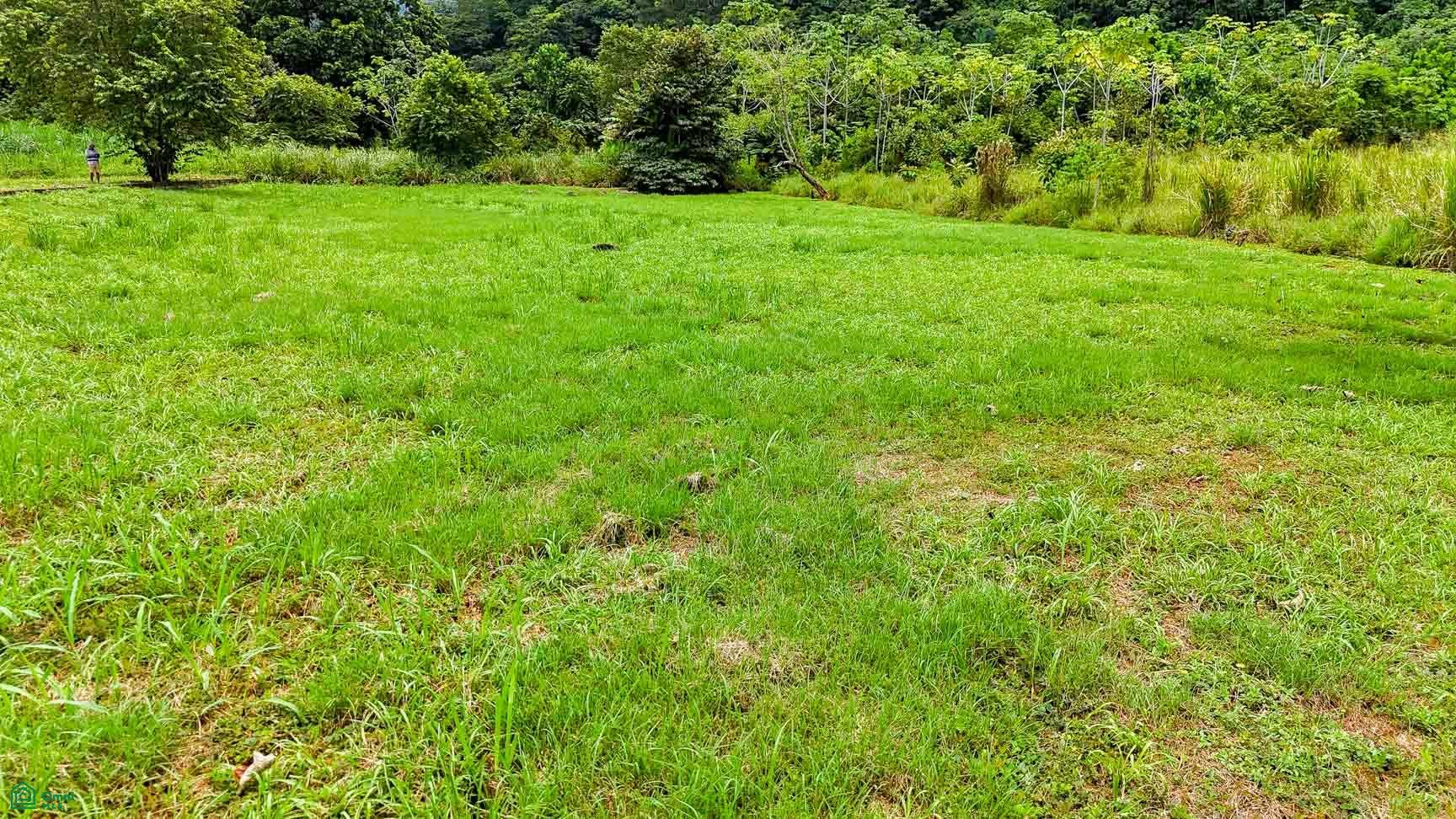 Coronado, Osa, Coronado, Osa, Puerto Corts, Osa, Puntarenas, Costa Rica 60501 Coronado, Osa, Coronado, Osa, Puerto Corts, Osa, Puntarenas, Costa Rica 60501